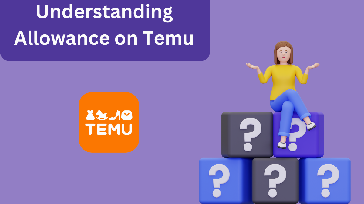 Understanding Allowance on Temu