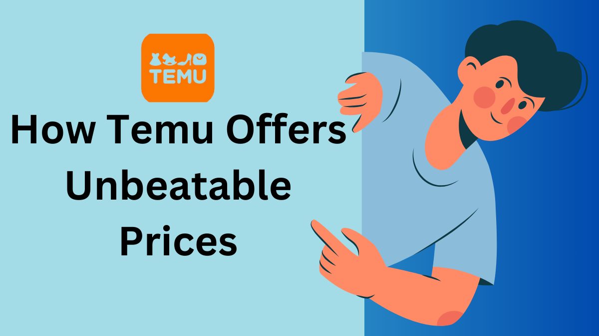 How Temu Offers Unbeatable Prices